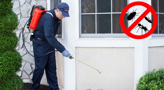 Tortum Böcek İlaçlama böcek ilaçlama ve haşere kontrolü — ilaclama-tr.com